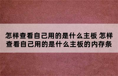 怎样查看自己用的是什么主板 怎样查看自己用的是什么主板的内存条